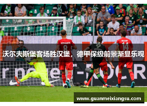 沃尔夫斯堡客场胜汉堡，德甲保级前景渐显乐观